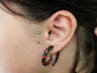 surface de tragus