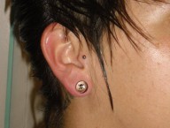 tragus