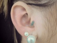 plume acier / tragus