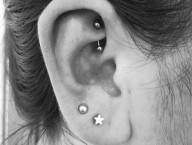 Rook