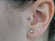 Tragus